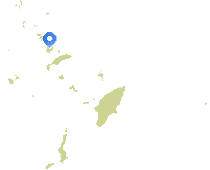 Overview Image