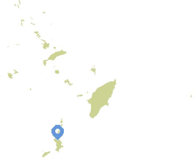 Overview Image
