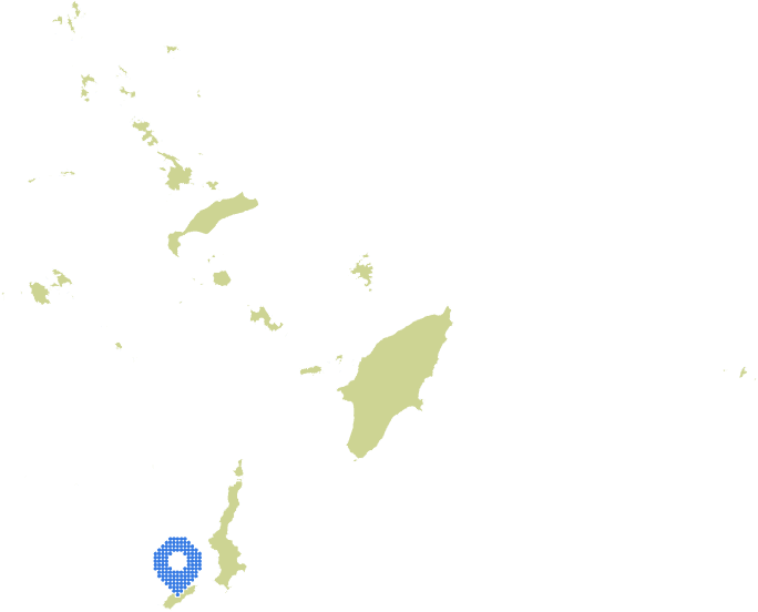 Overview Image