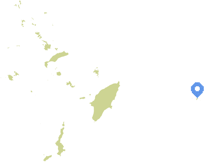 Overview Image