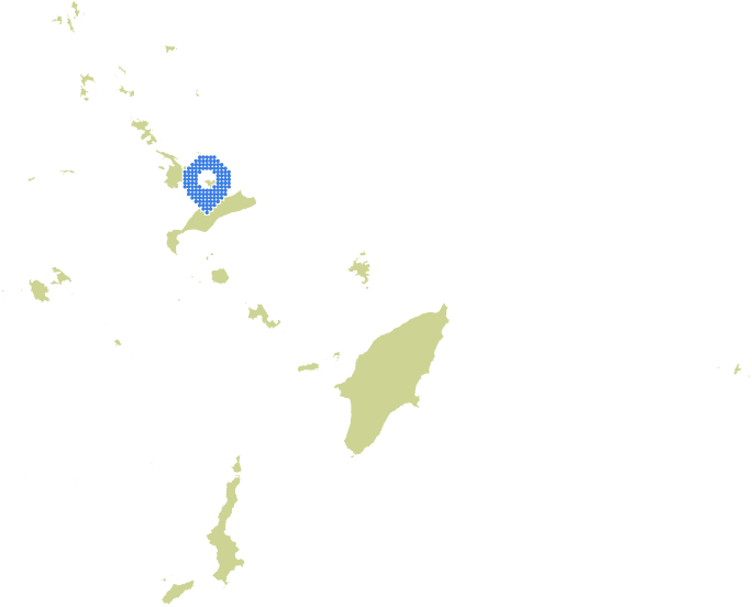 Overview Image