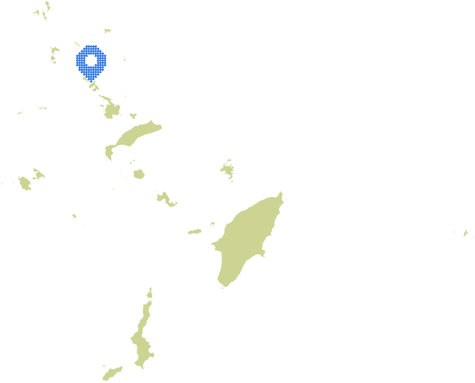 Overview Image