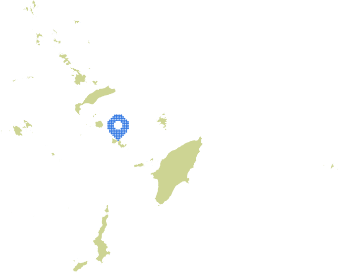 Overview Image