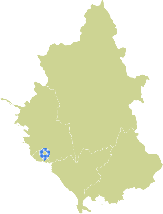 Overview Image