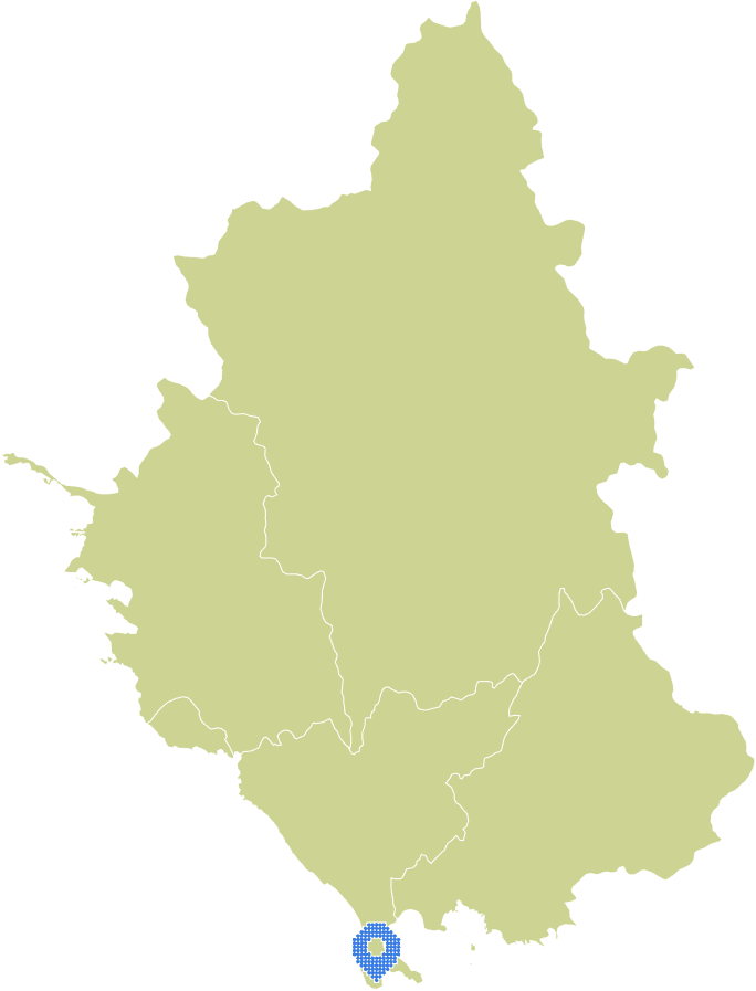 Overview Image