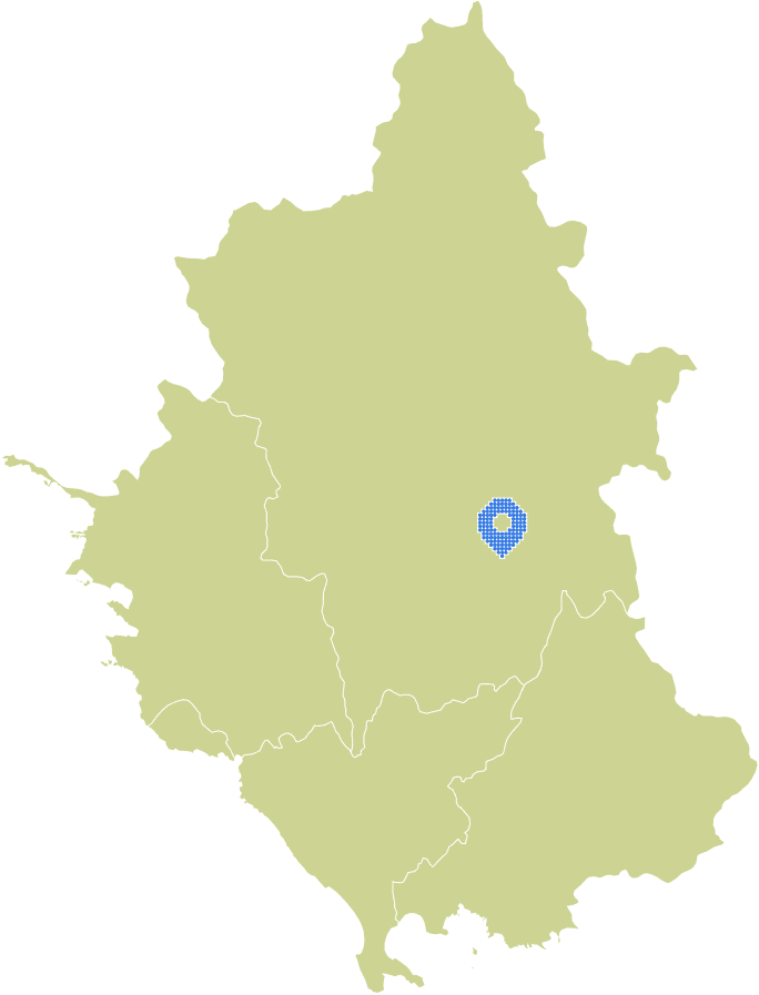 Overview Image