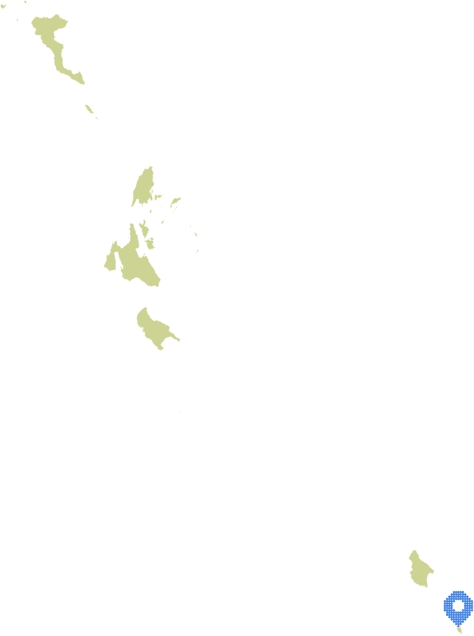 Overview Image