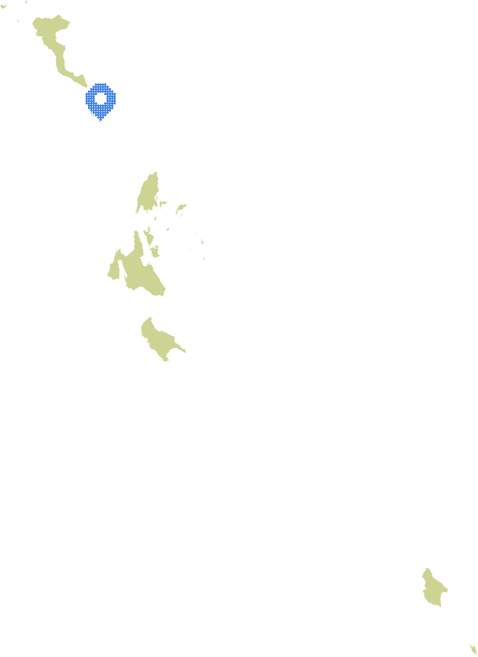 Overview Image