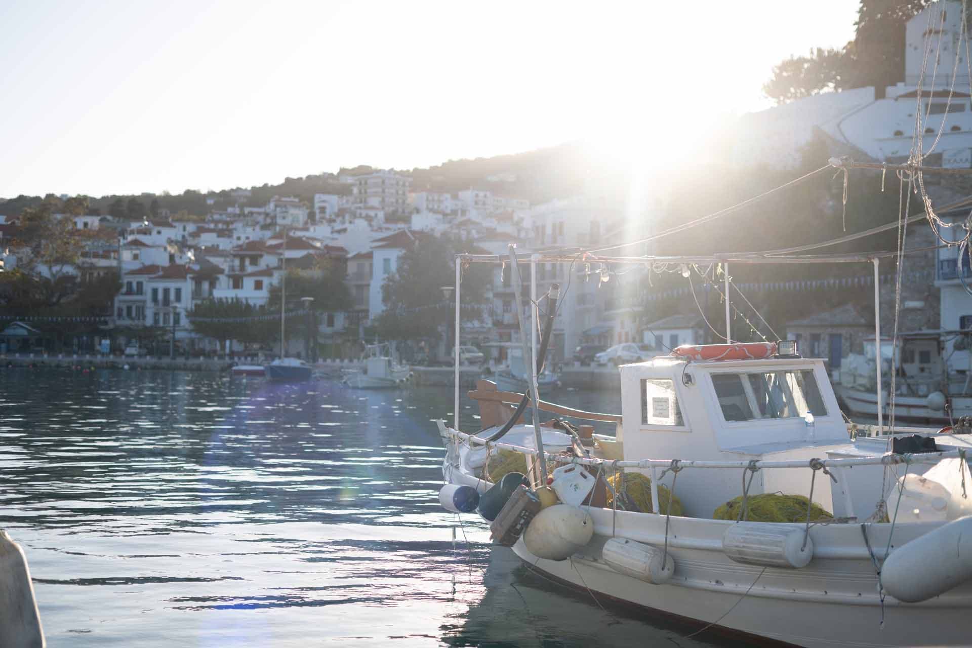 Alt text not provided