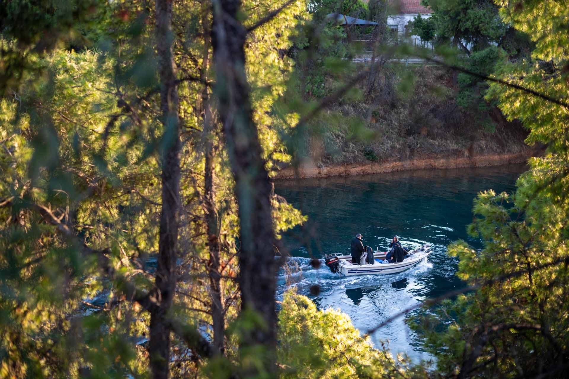 Alt text not provided