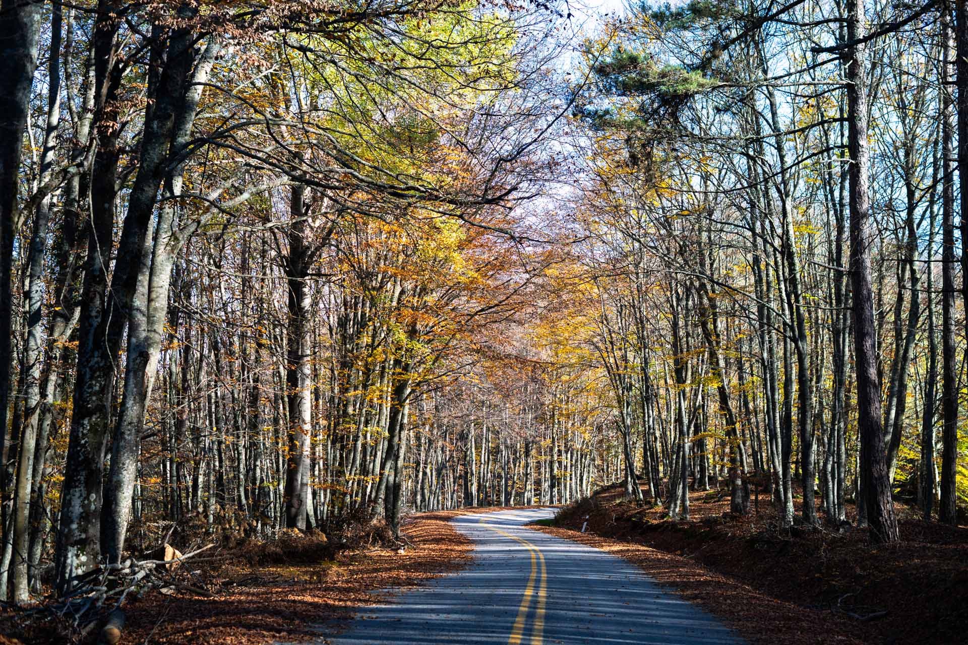 Alt text not provided