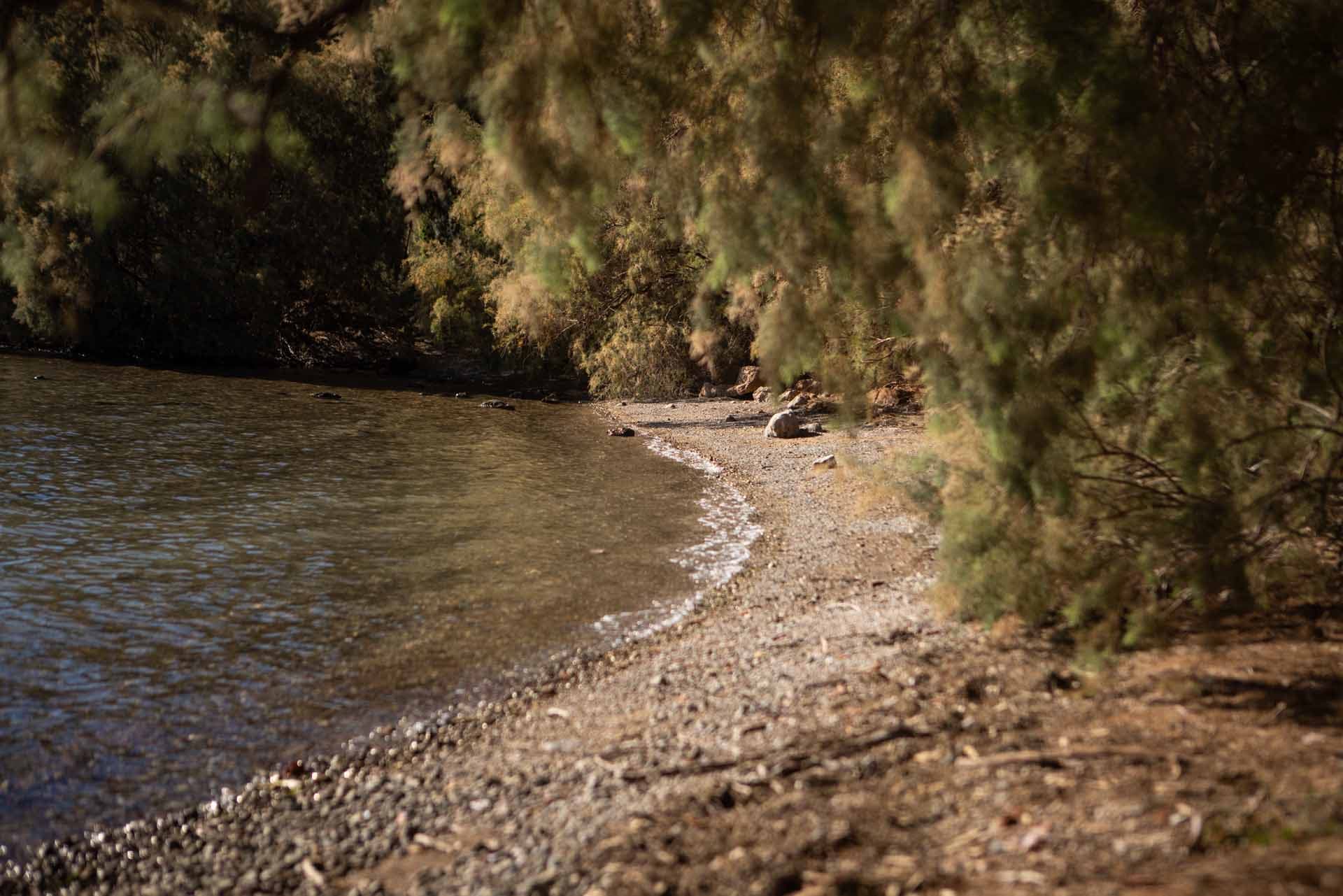 Alt text not provided