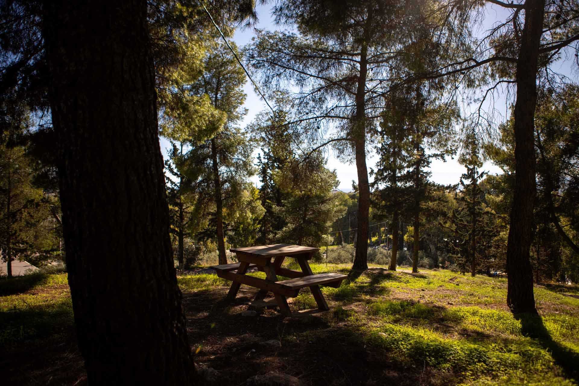 Alt text not provided