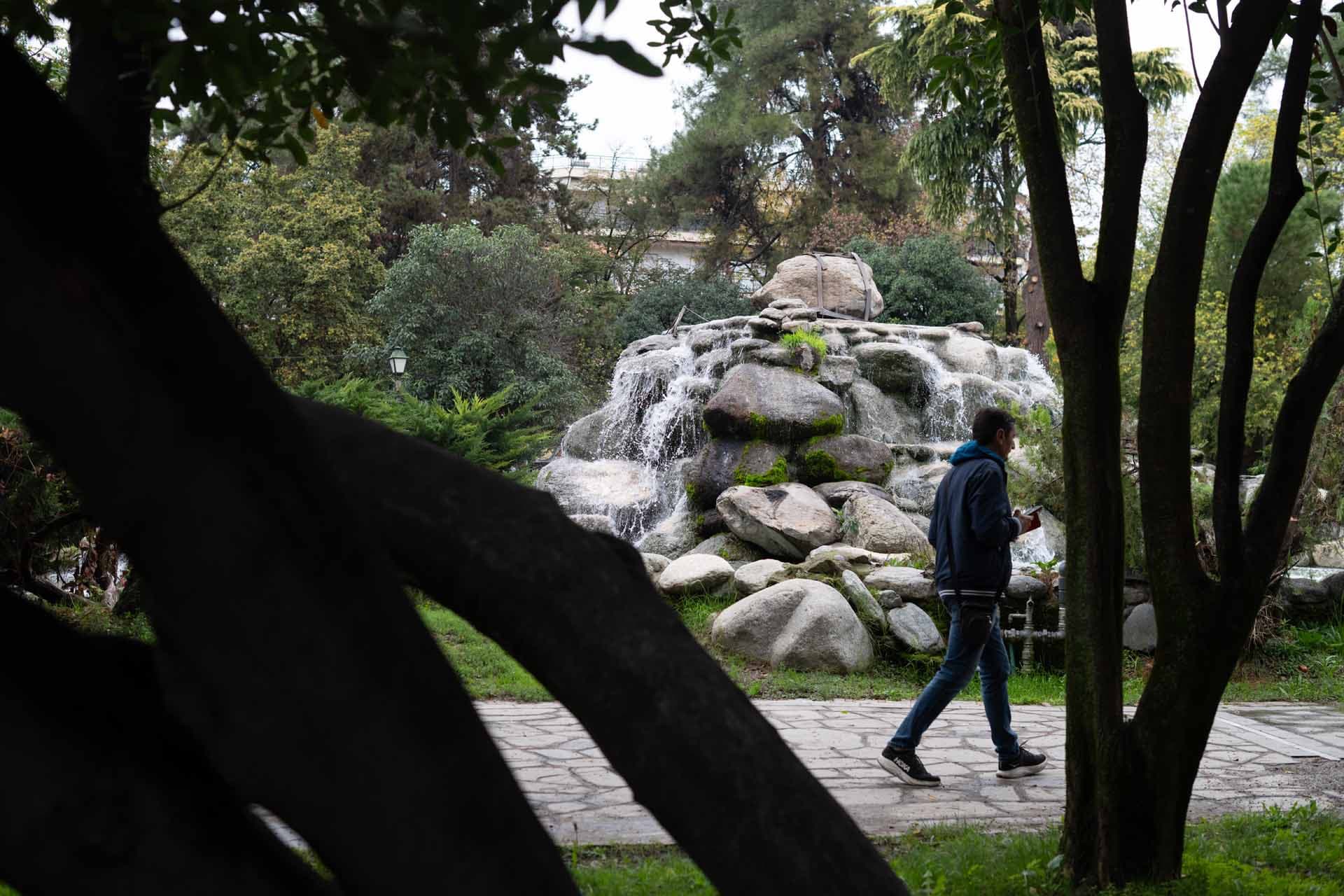 Alt text not provided