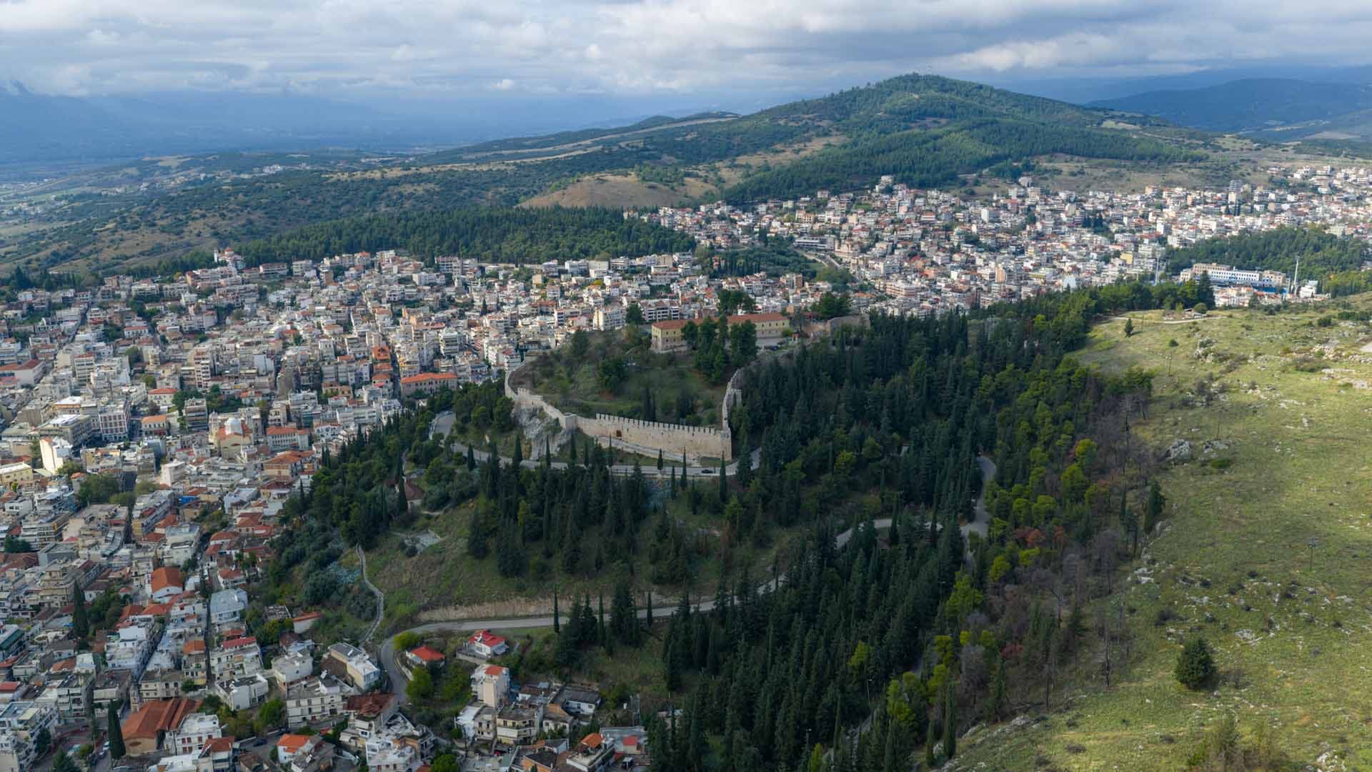 Alt text not provided