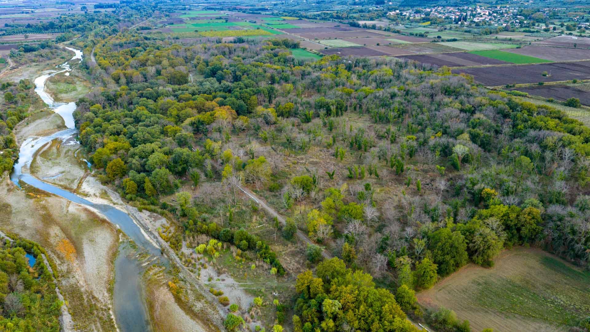 Alt text not provided