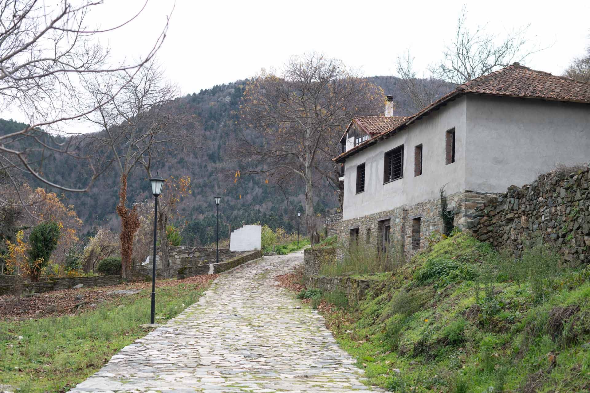 Alt text not provided