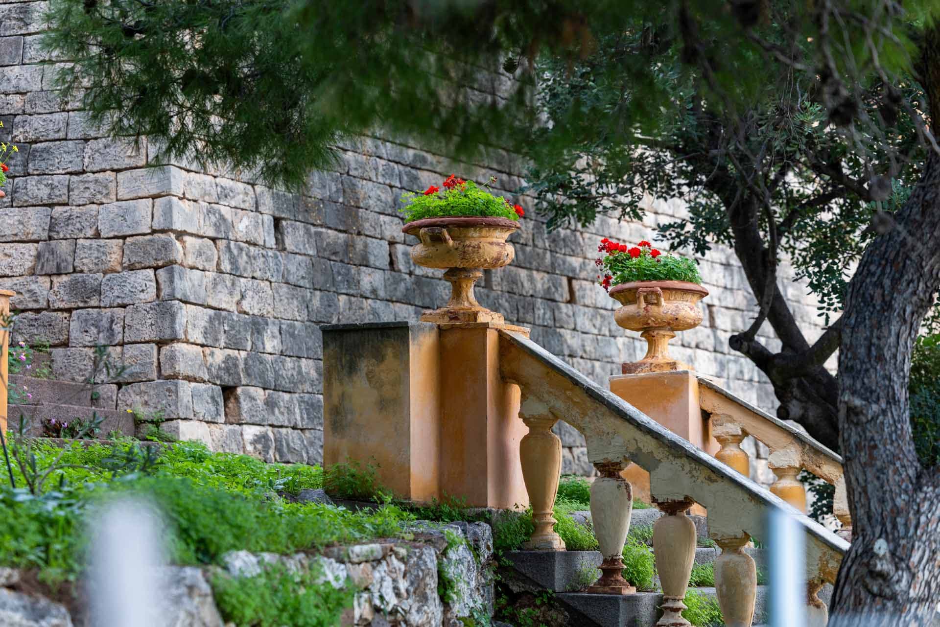 Alt text not provided