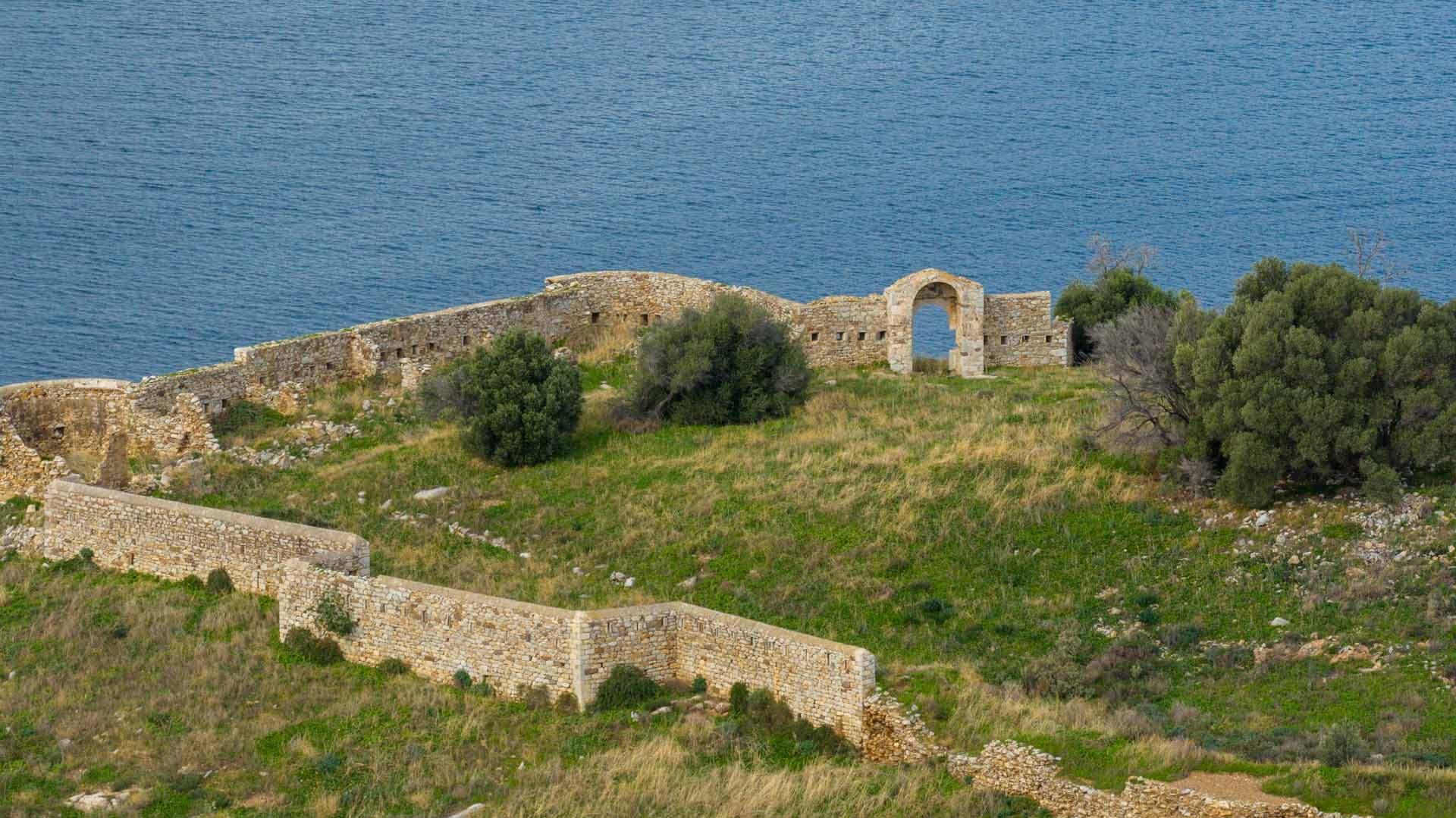 Alt text not provided