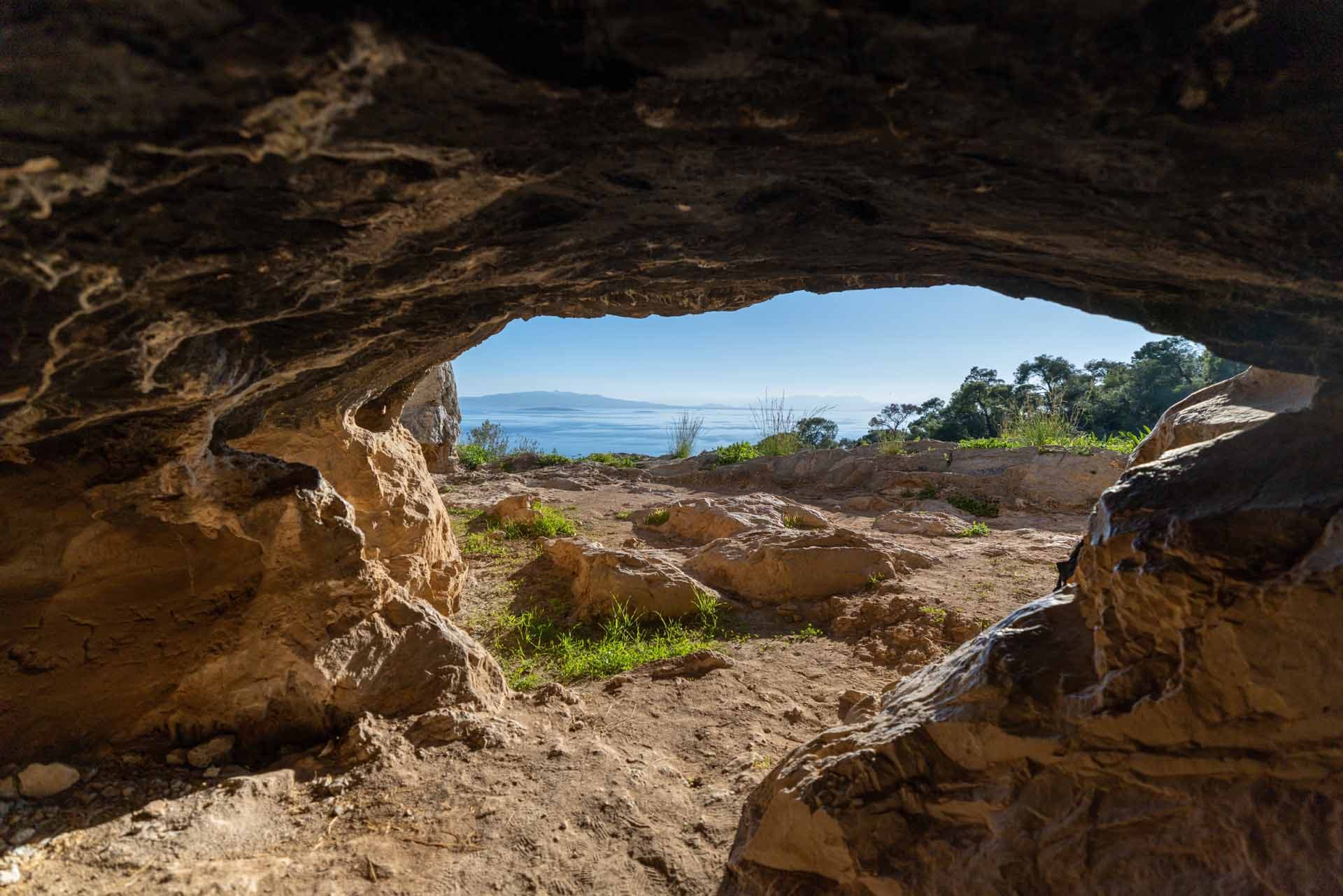 Alt text not provided