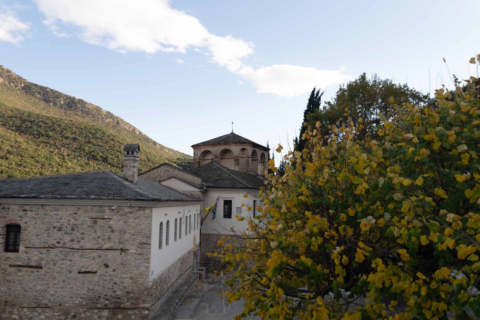 Alt text not provided