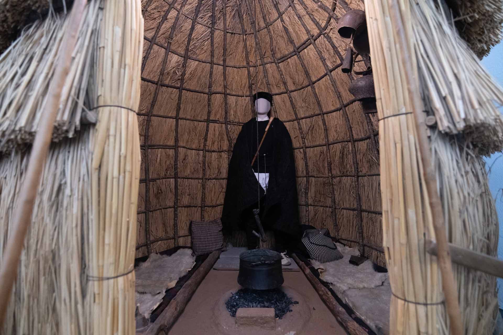 Alt text not provided