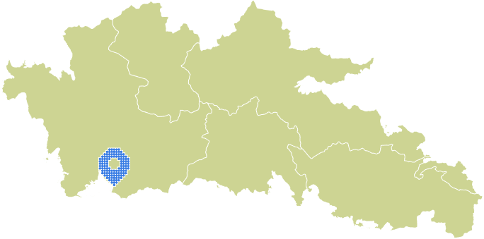 Overview Image