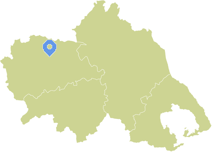 Overview Image