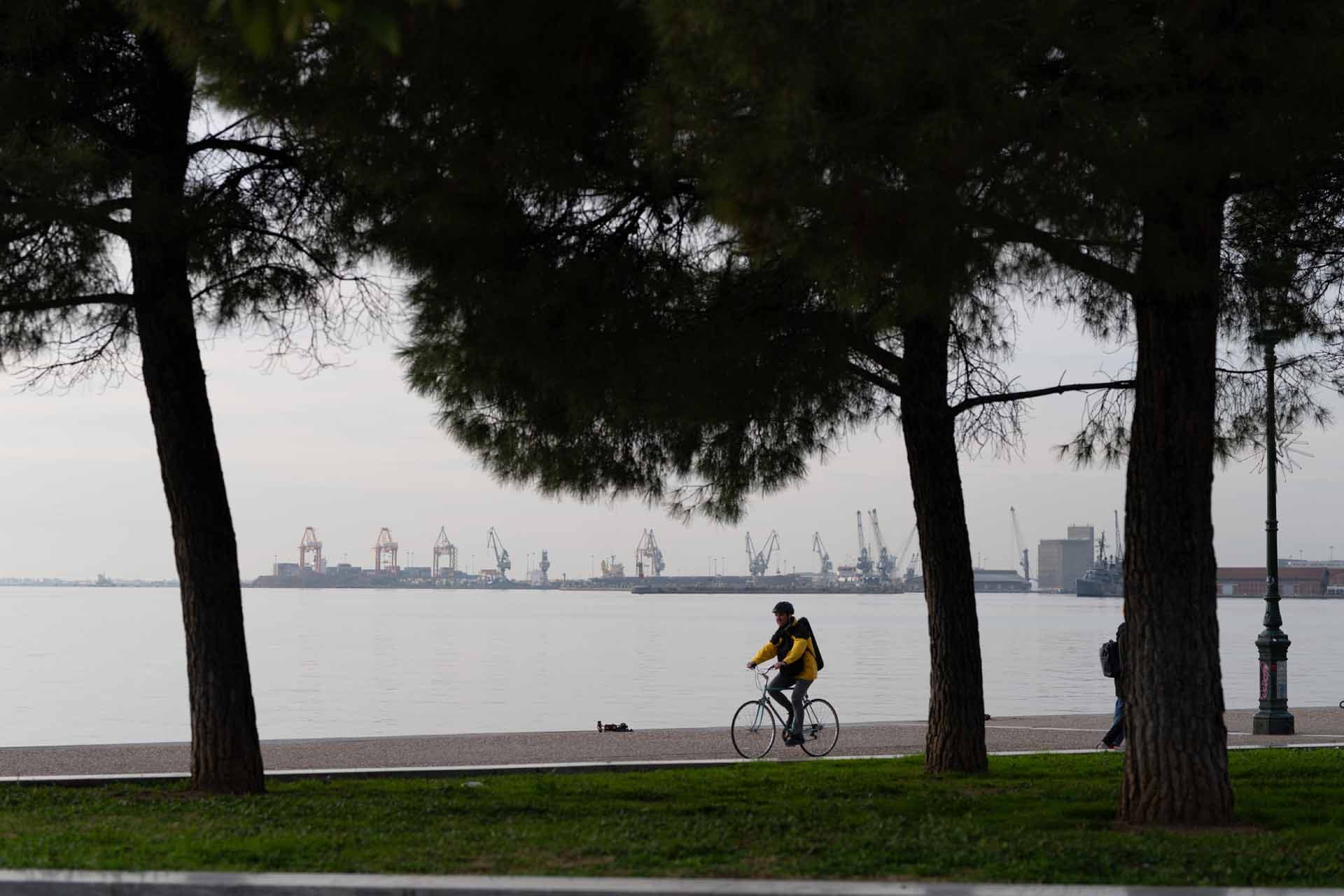 Alt text not provided