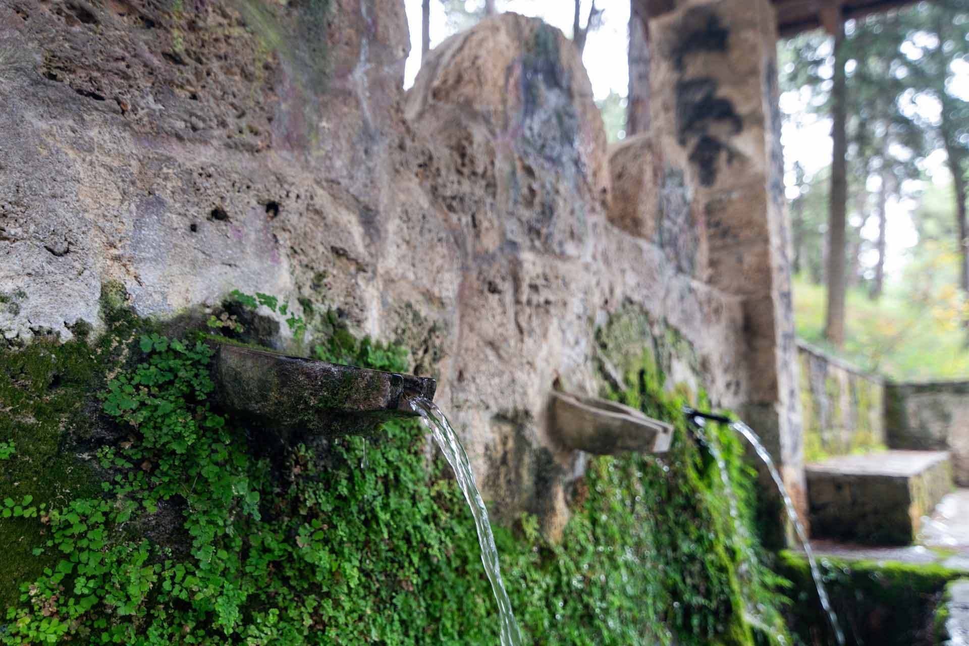 Alt text not provided