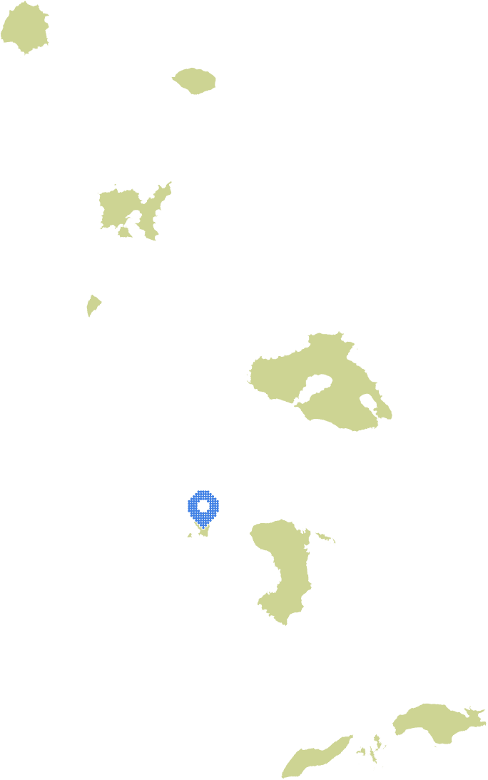 Overview Image