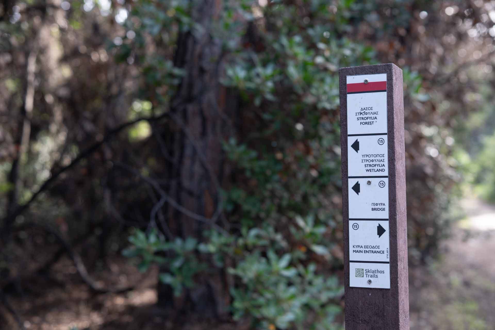 Alt text not provided