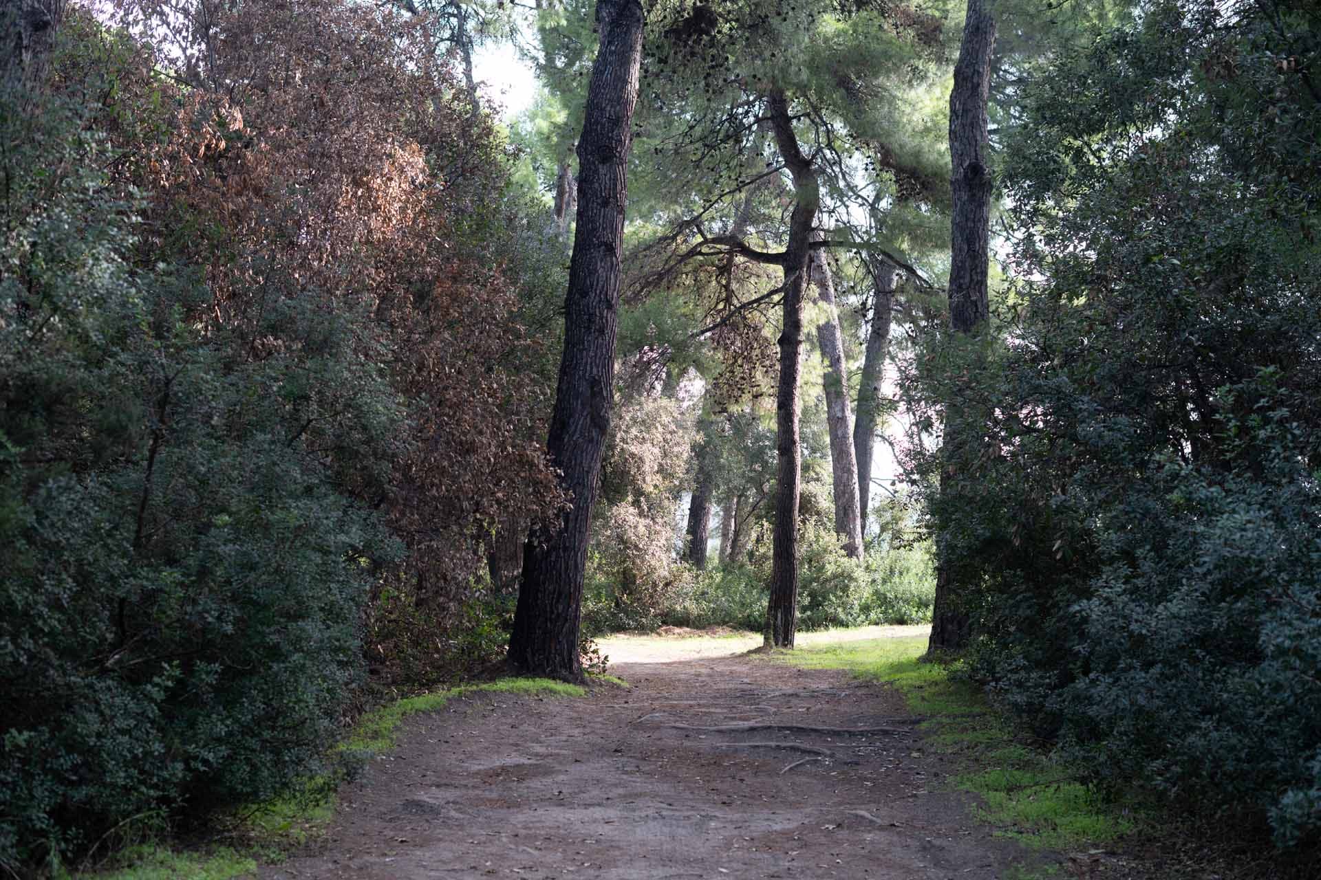 Alt text not provided