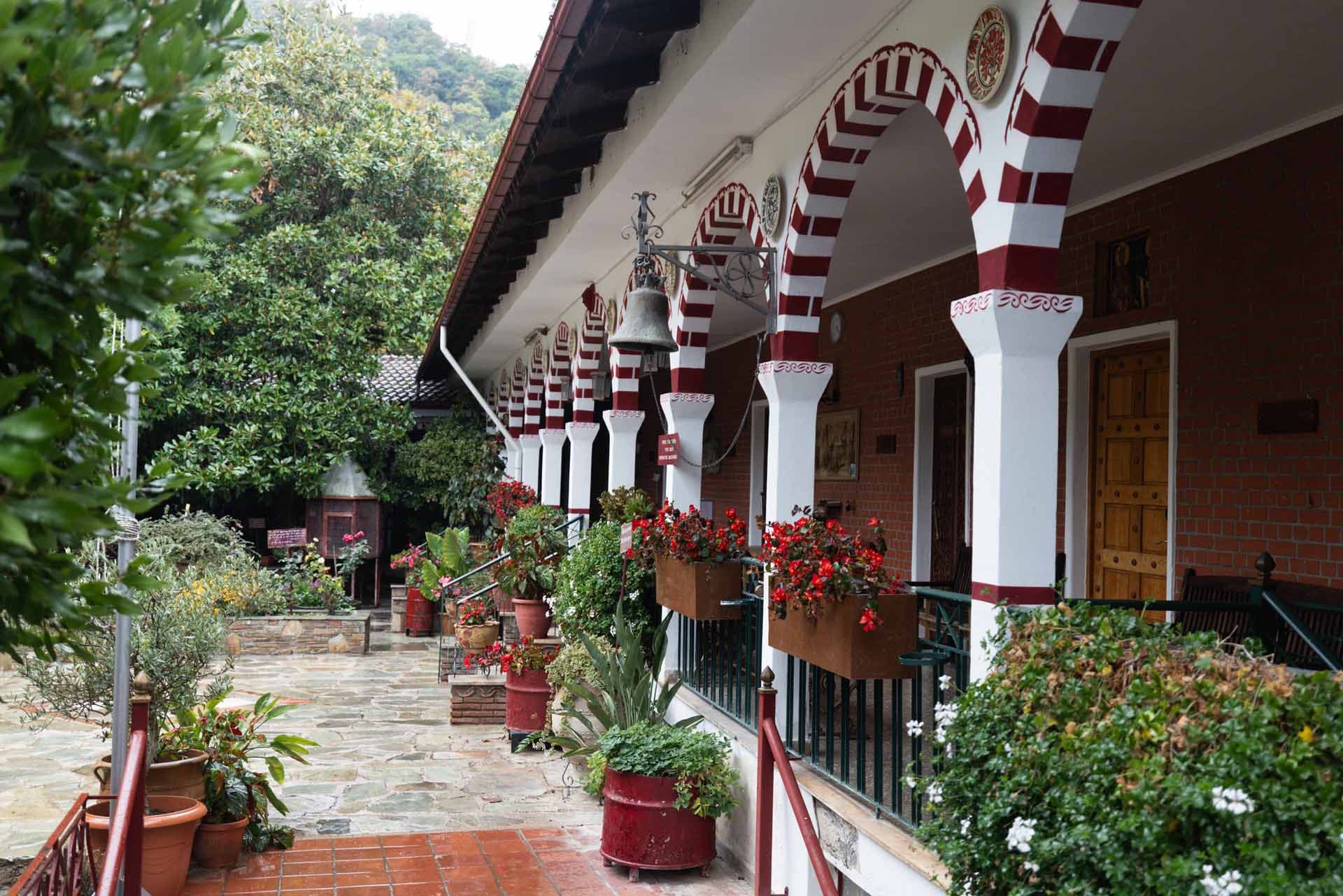 Alt text not provided