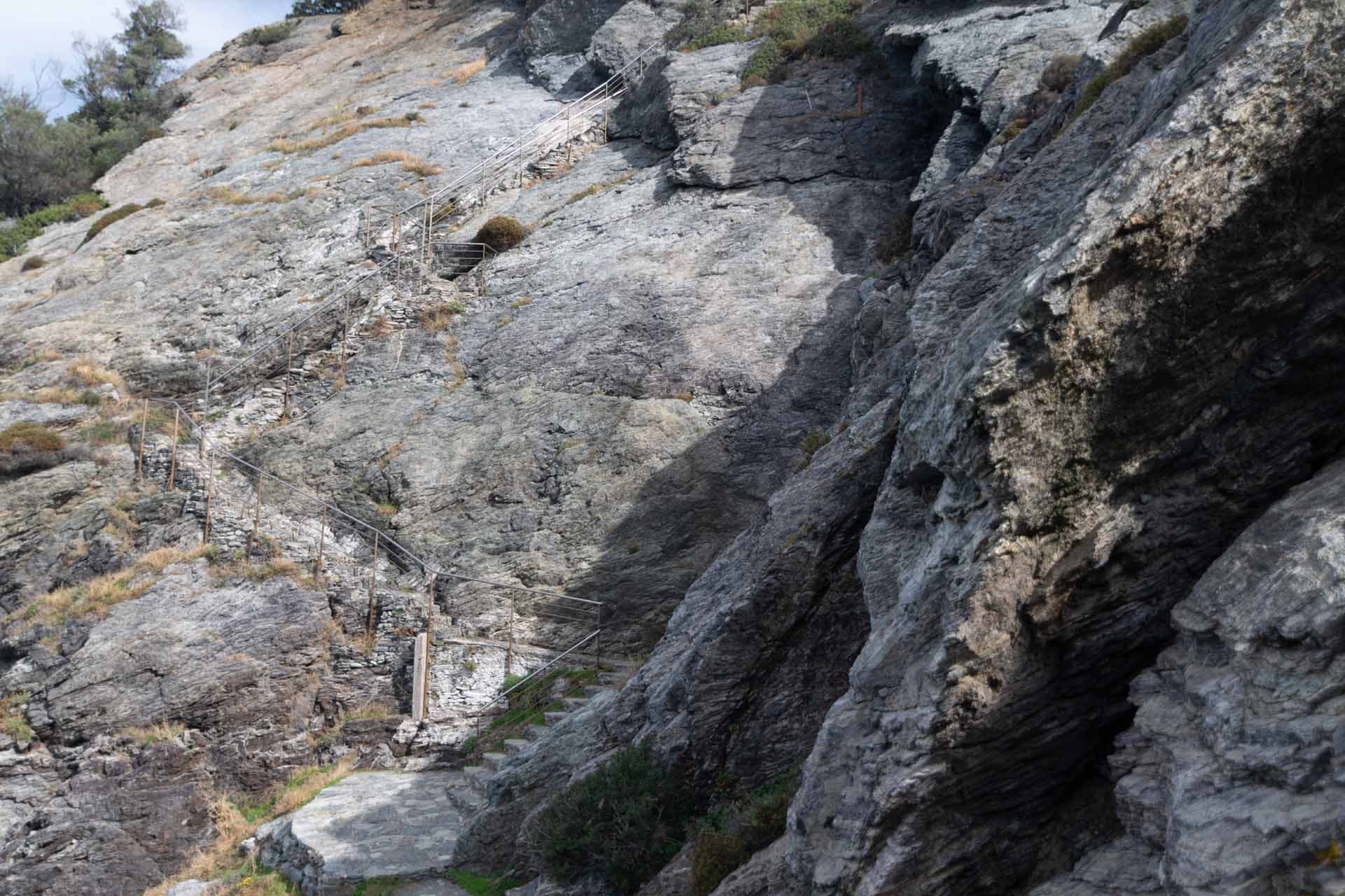 Alt text not provided