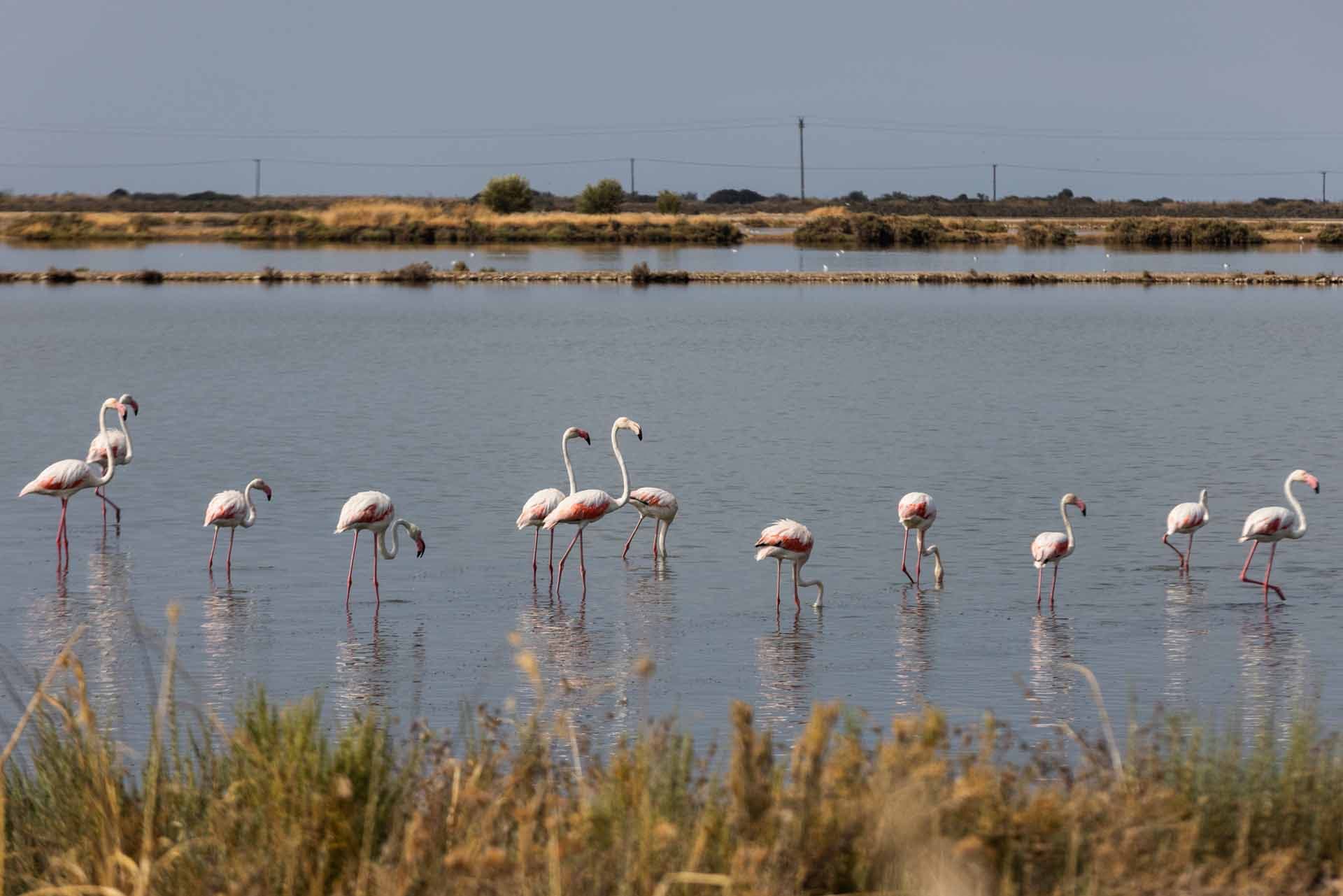 Eco-tourism Activities: The Landscape of Harmony