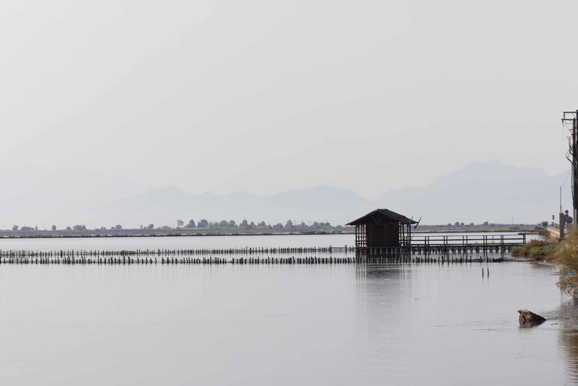 Alt text not provided