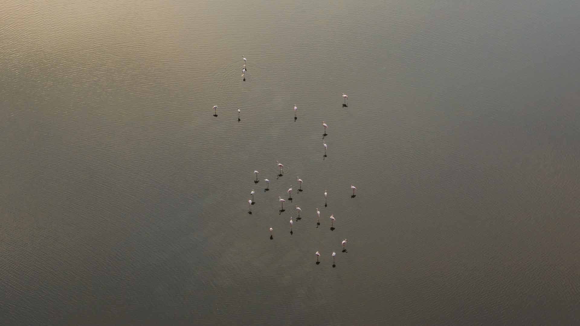 Alt text not provided