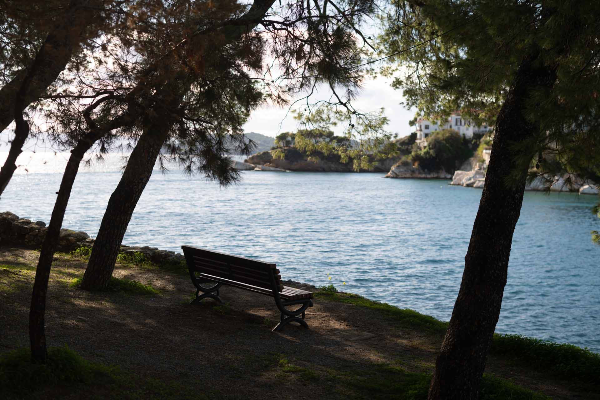 Alt text not provided