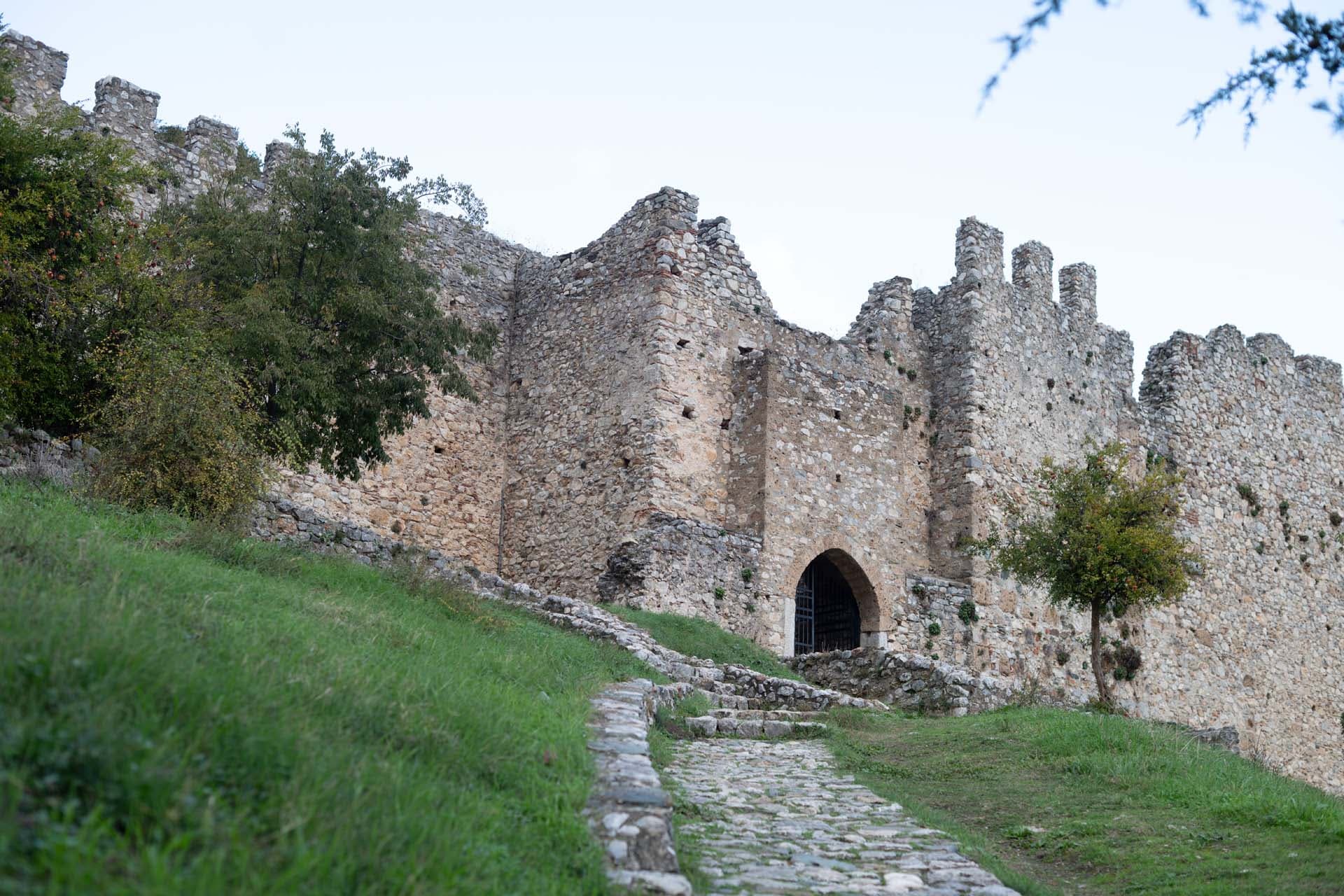 Alt text not provided