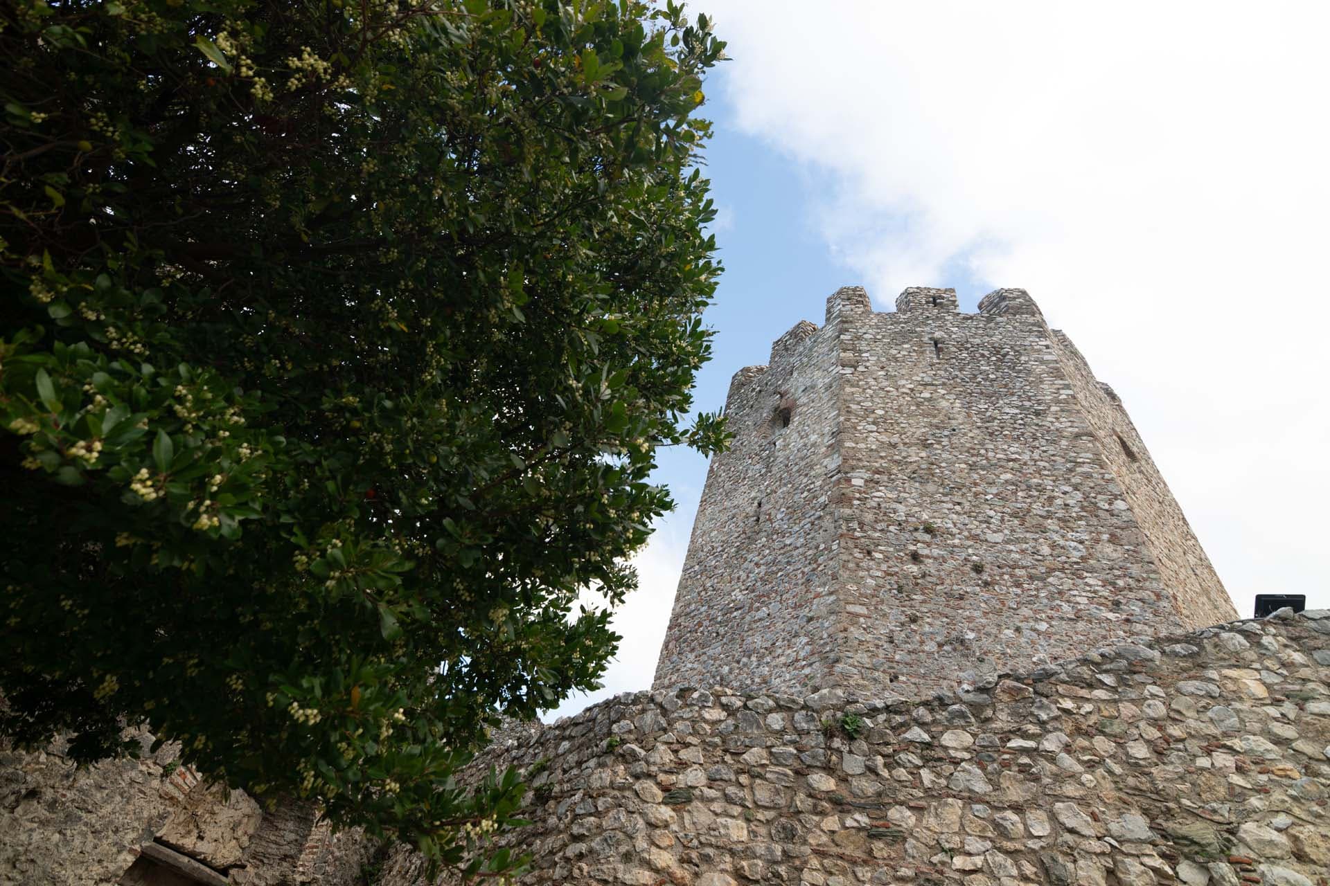 Alt text not provided