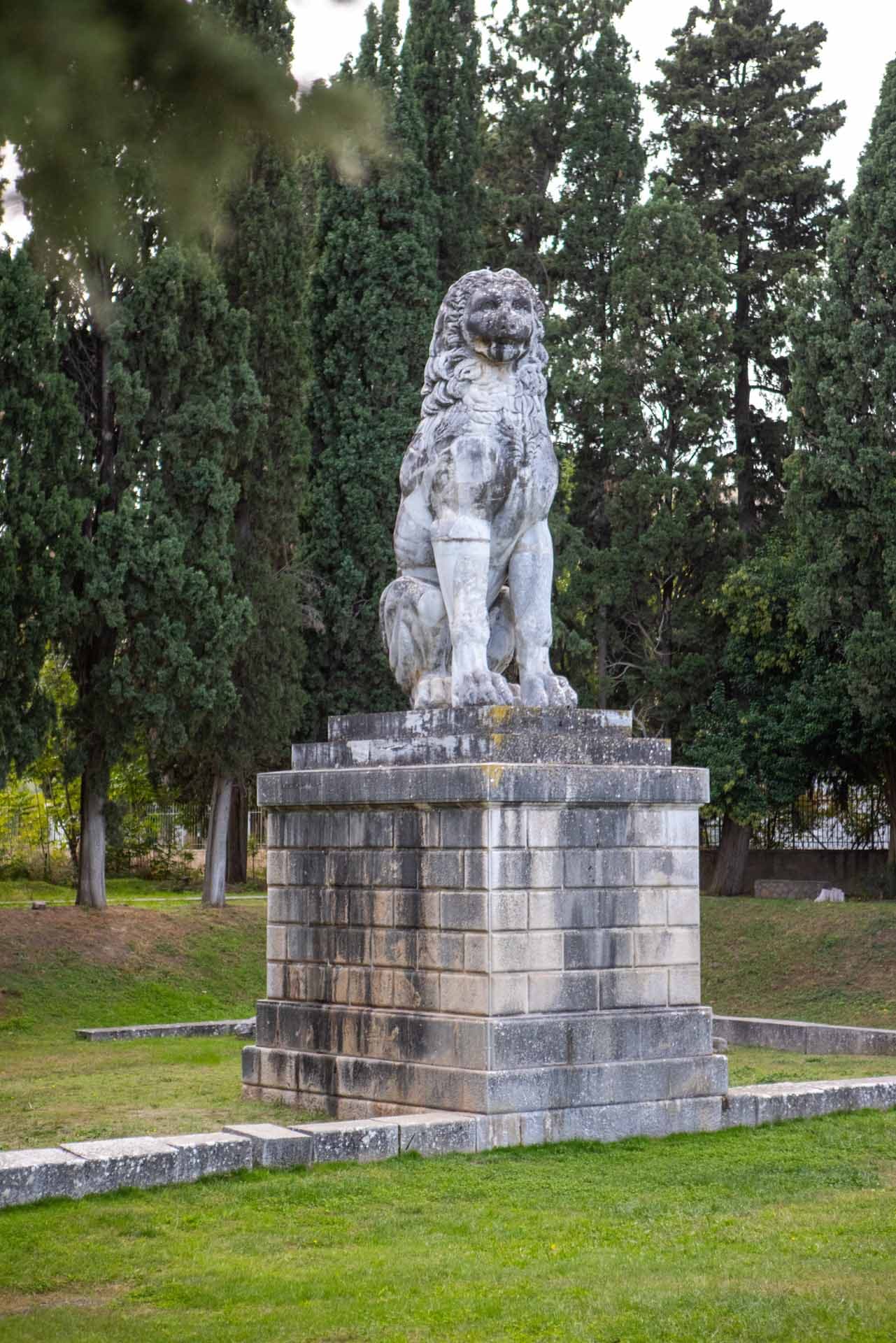 Alt text not provided