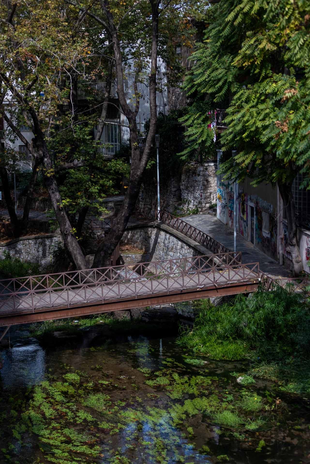 Alt text not provided