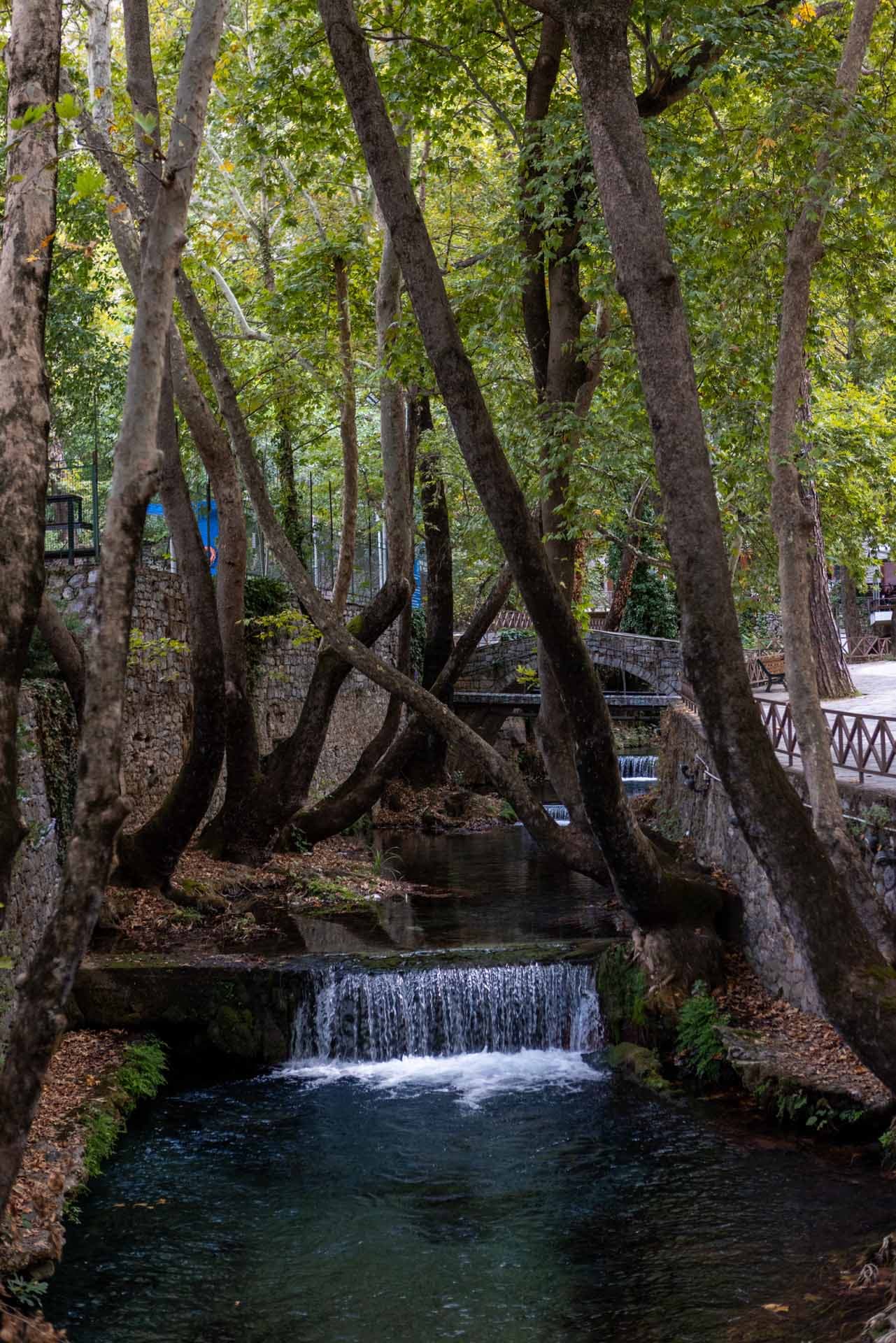 Alt text not provided