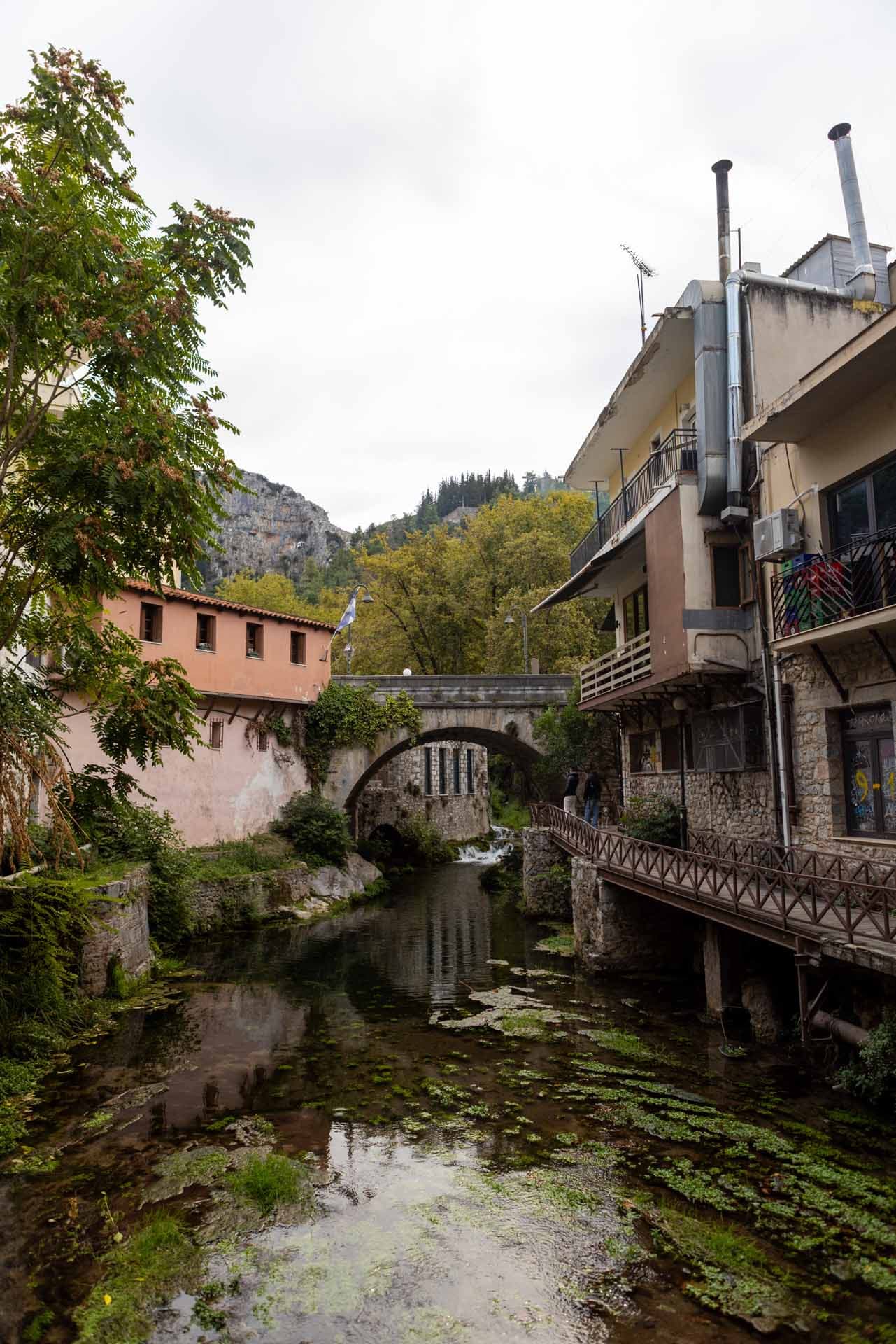 Alt text not provided