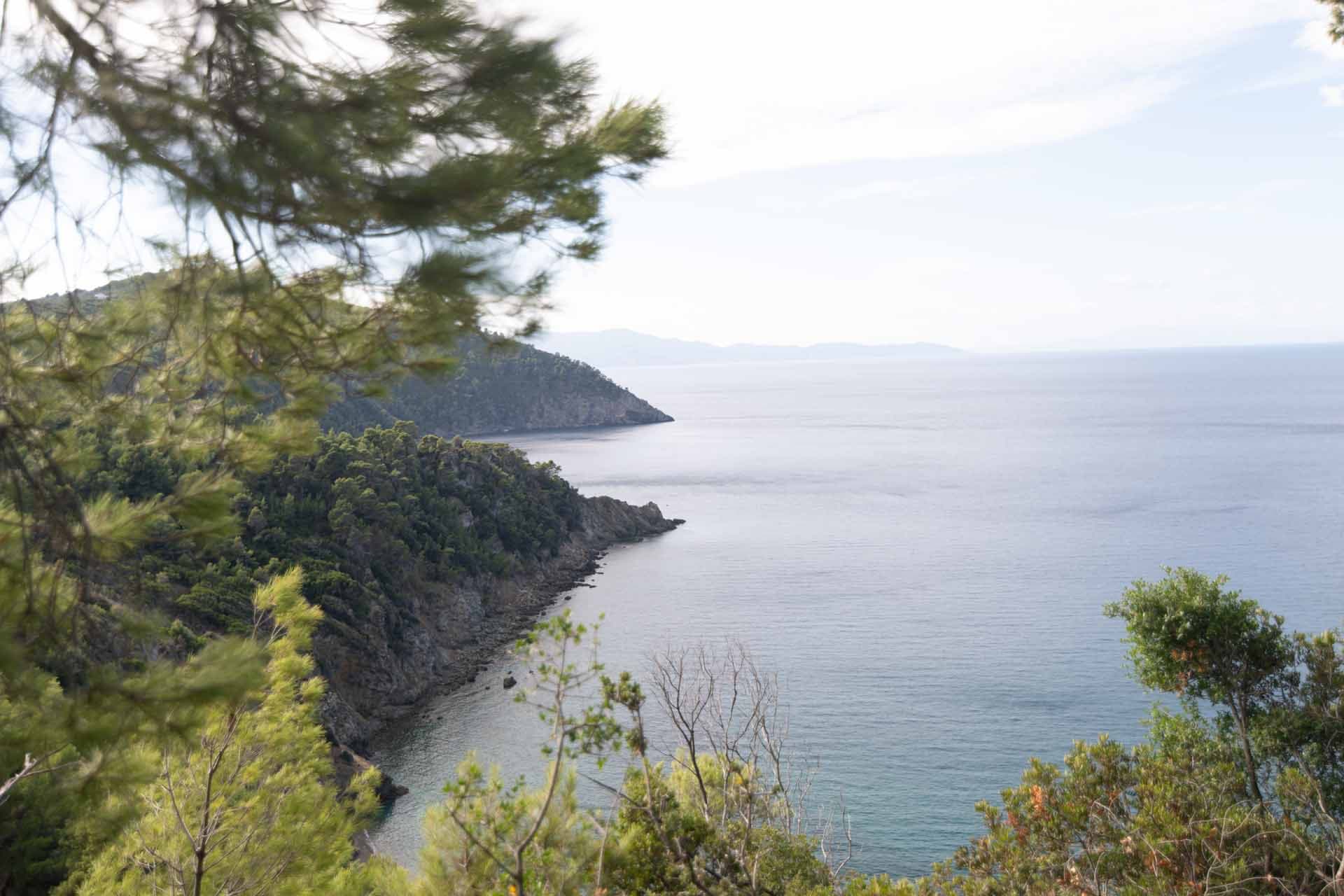 Alt text not provided