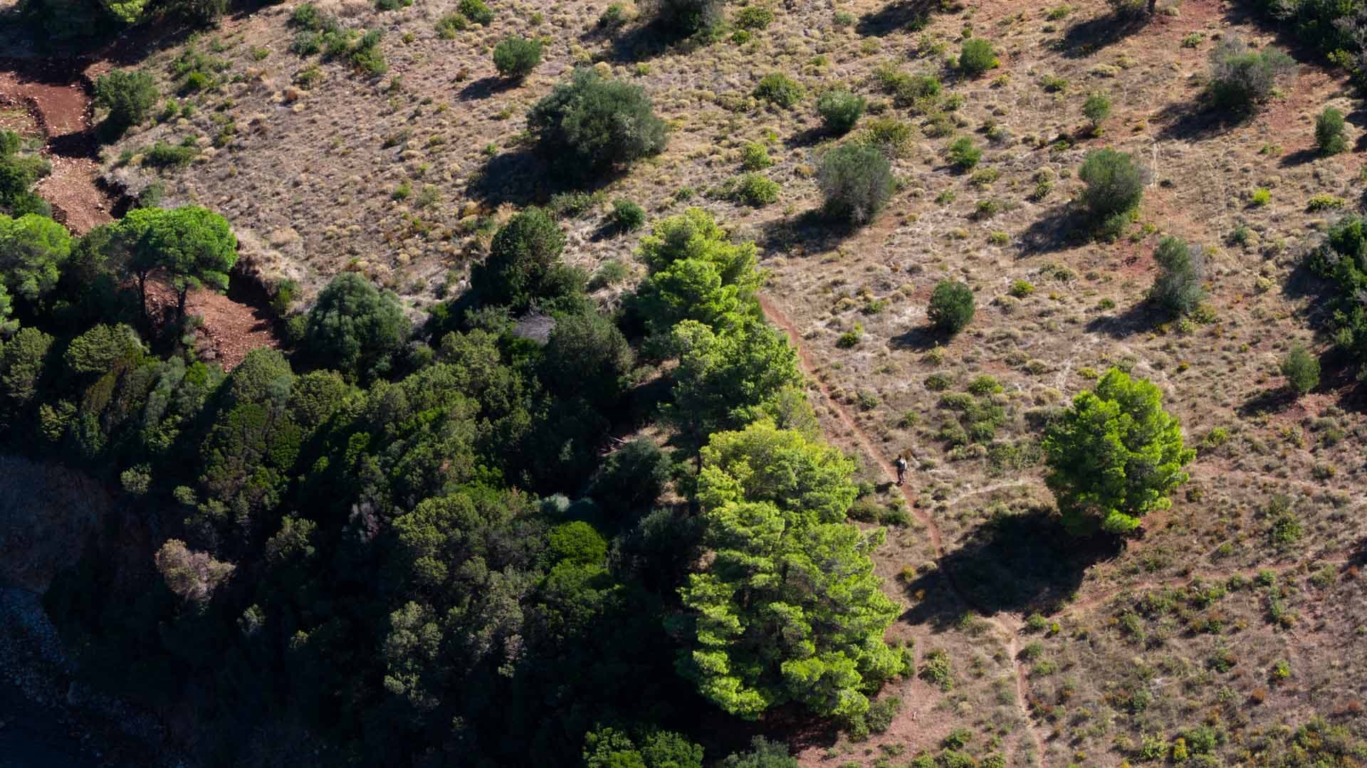 Alt text not provided