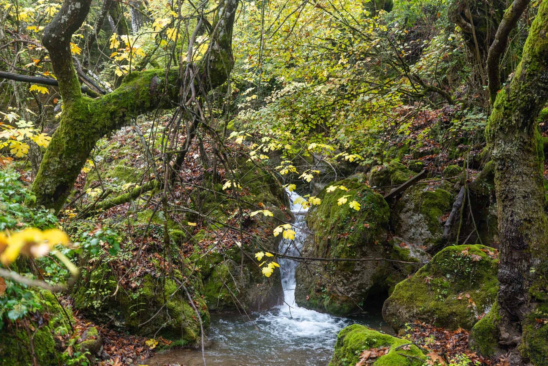 Alt text not provided