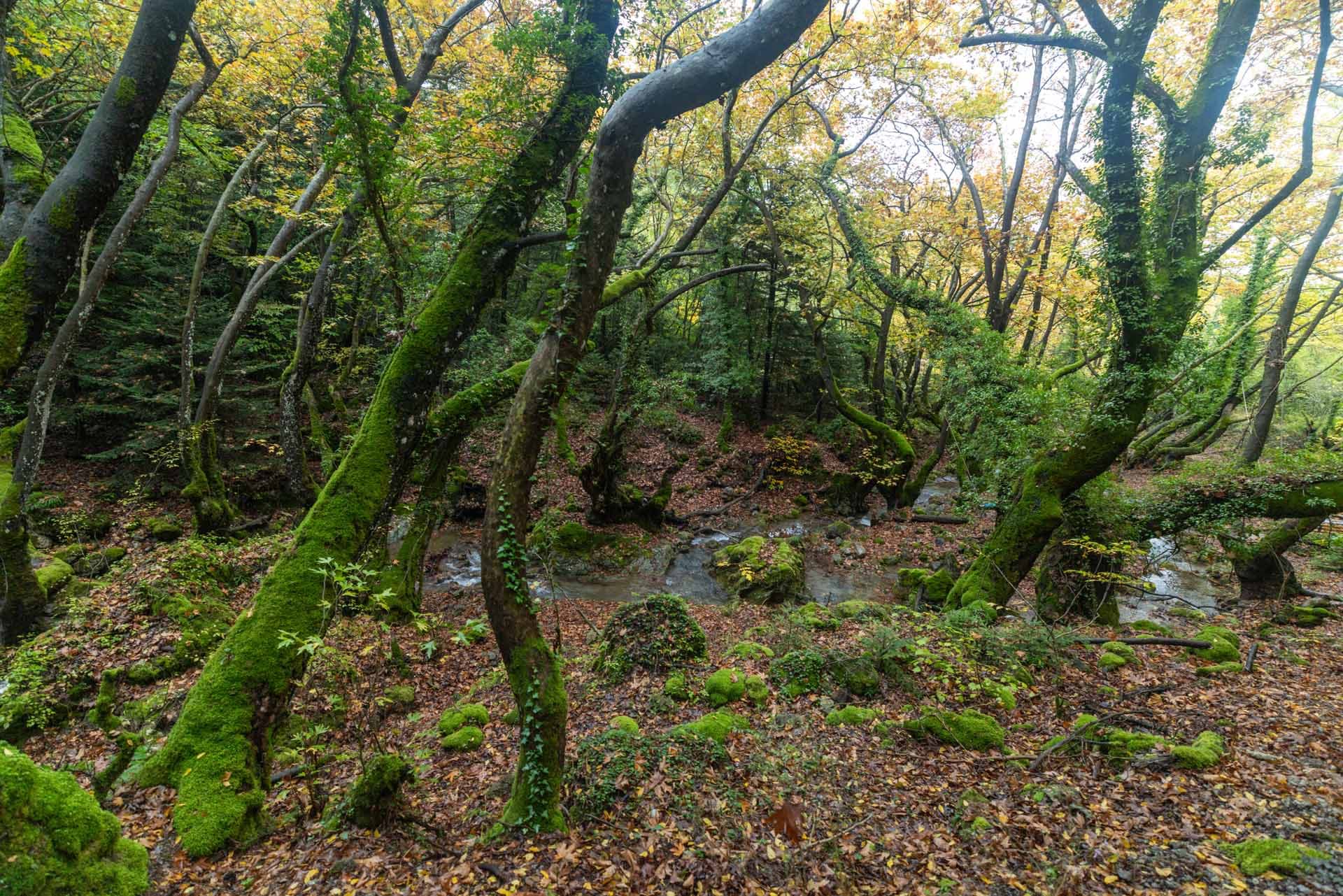 Alt text not provided