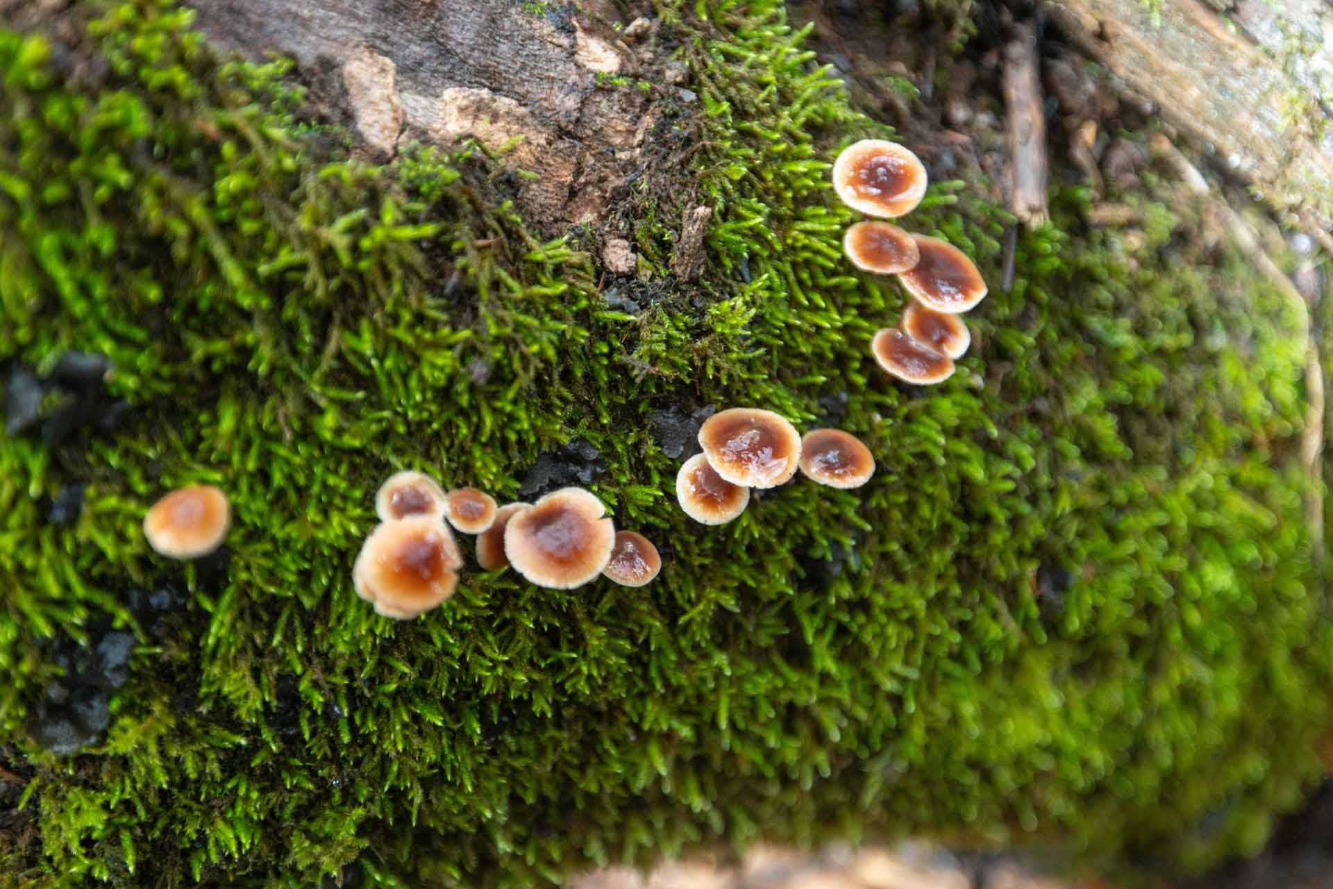 Alt text not provided